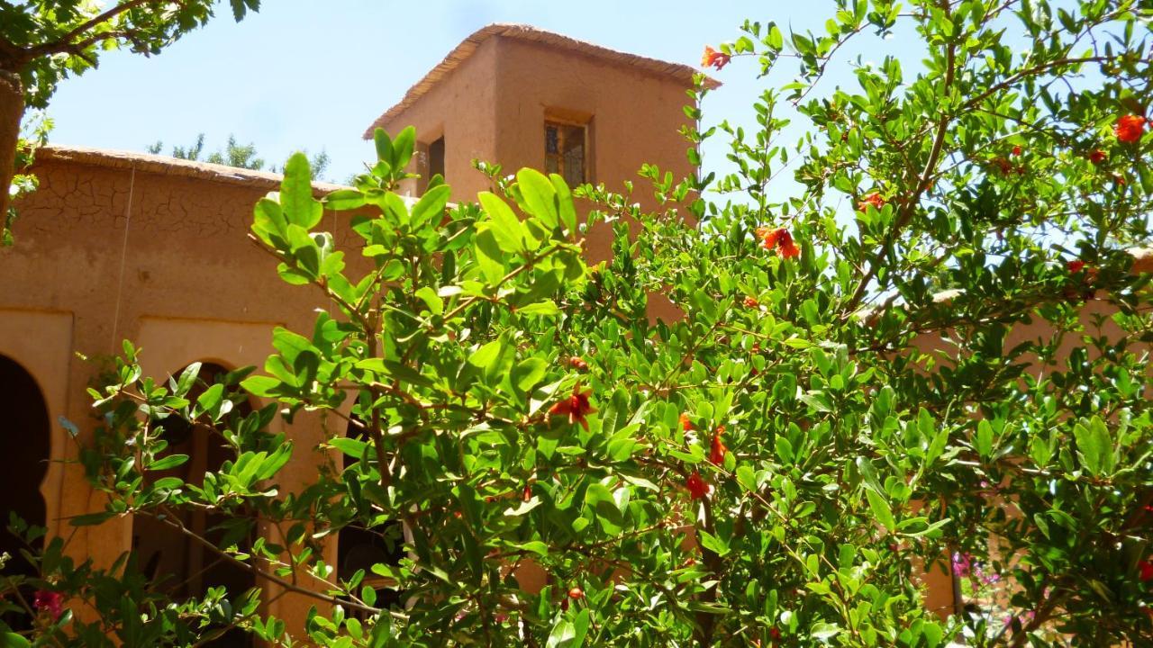 Kasbah Ait Moussa Hotel Kelaat-M'Gouna Luaran gambar